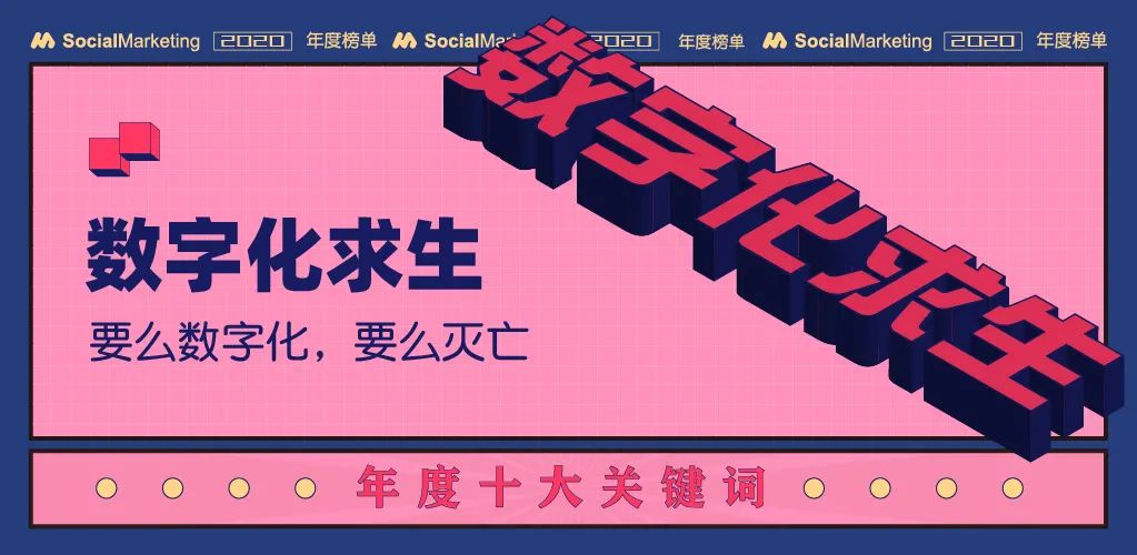 南宁猎鹿云科技数字化求生
